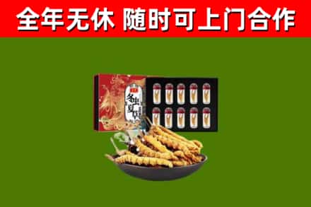 申扎回收冬虫夏草价格