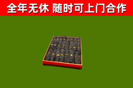 申扎回收海参